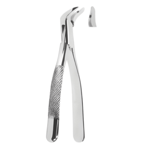 Extracting Forceps American pattern
