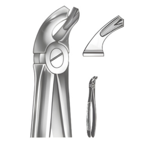 Extracting Forceps English pattern