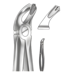 Extracting Forceps English pattern