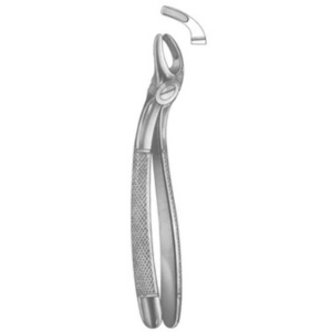 Extracting Forceps English pattern