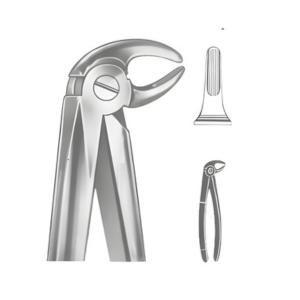 Extracting Forceps English pattern