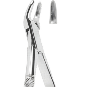 Extracting Forceps American pattern