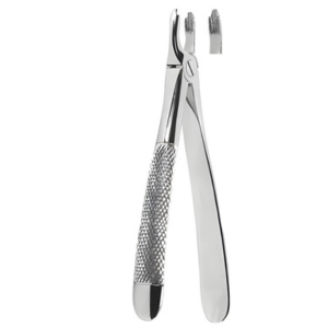 Extracting Forceps English pattern