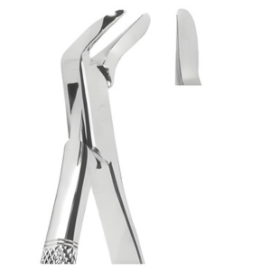 Extracting Forceps American pattern