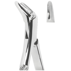 Extracting Forceps American pattern