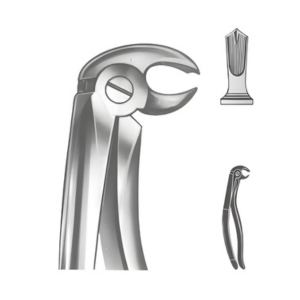 Extracting Forceps English pattern