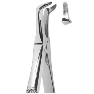 Extracting Forceps English pattern