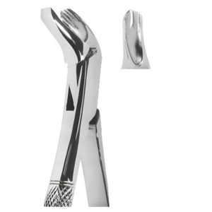 Extracting Forceps American pattern