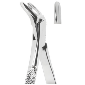 Extracting Forceps American pattern