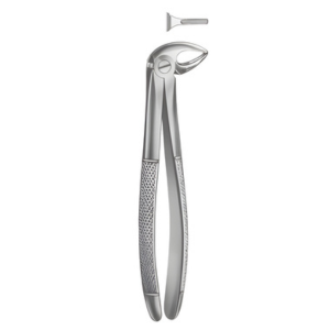 Extracting Forceps English pattern