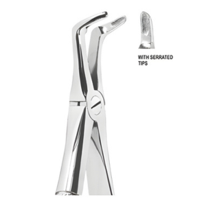 Extracting Forceps English pattern