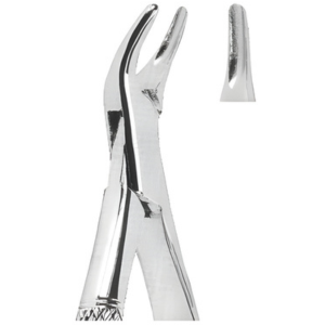 Extracting Forceps American pattern