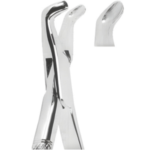 Extracting Forceps American pattern