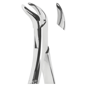 Extracting Forceps American pattern