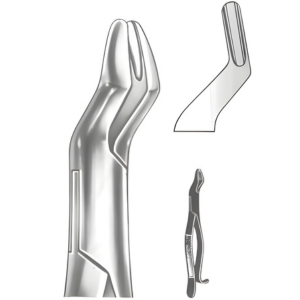 Extracting Forceps American pattern