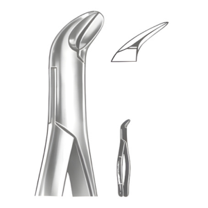 Extracting Forceps American pattern