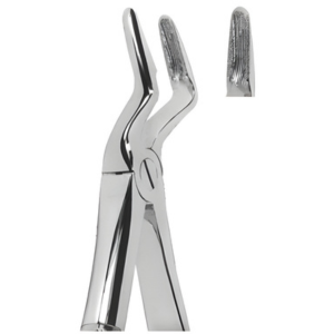 Extracting Forceps English pattern