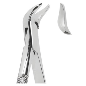 Extracting Forceps American pattern