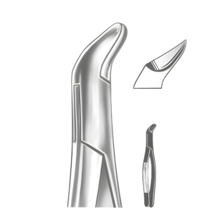 Extracting Forceps American pattern