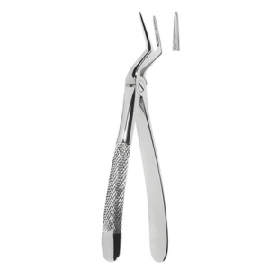 Extracting Forceps English pattern