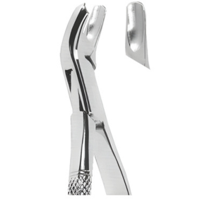 Extracting Forceps American pattern