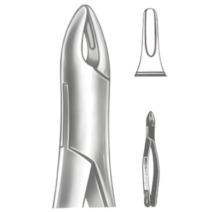 Extracting Forceps American pattern