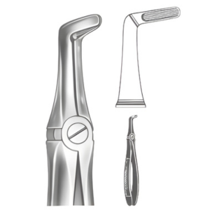 Extracting Forceps English pattern