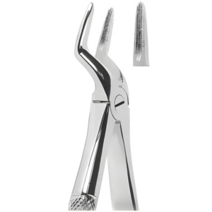 Extracting Forceps English pattern