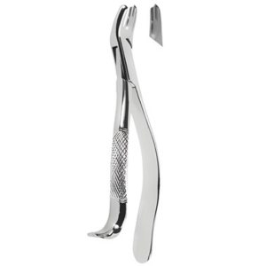 Extracting Forceps American pattern