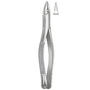 Extracting Forceps American pattern