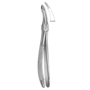 Extracting Forceps English pattern