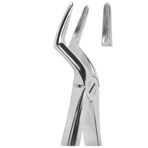 Extracting Forceps English pattern