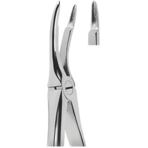 Extracting Forceps English pattern