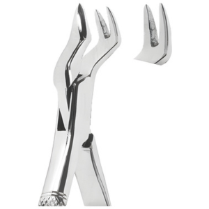 Extracting Forceps American pattern