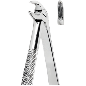 Extracting Forceps American pattern