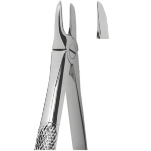Extracting Forceps English pattern