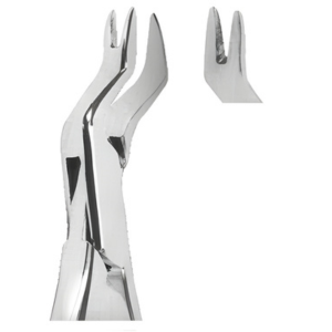 Extracting Forceps American pattern