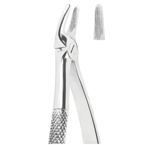 Extracting Forceps American pattern