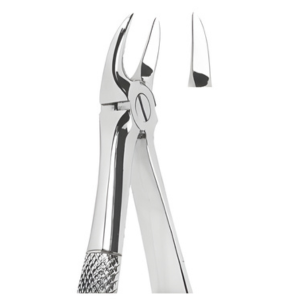 Extracting Forceps English pattern
