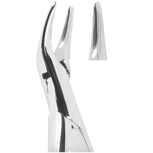 Extracting Forceps American pattern