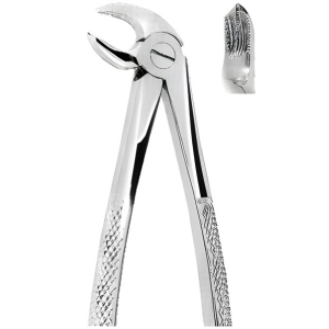 Extracting Forceps American pattern