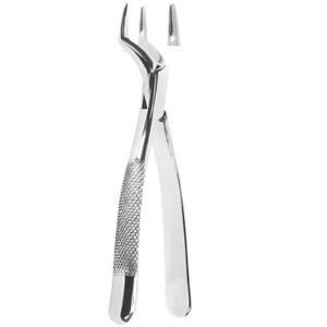 Extracting Forceps American pattern