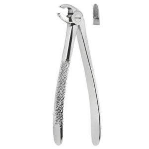 Extracting Forceps English pattern