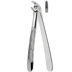 Extracting Forceps American pattern