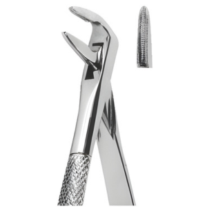 Extracting Forceps English pattern