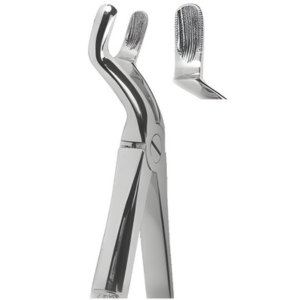 Extracting Forceps English pattern
