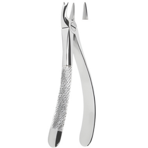 Extracting Forceps English pattern