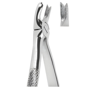 Extracting Forceps English pattern