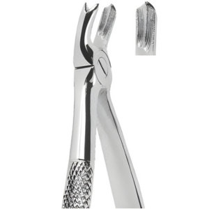 Extracting Forceps English pattern