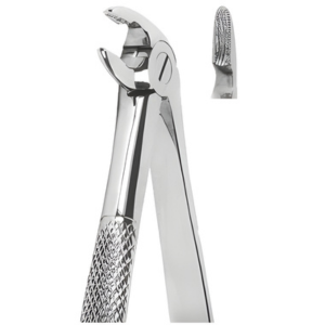 Extracting Forceps English pattern